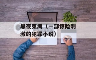 黑夜束缚（一部惊险刺激的犯罪小说）