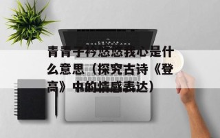 青青子衿悠悠我心是什么意思（探究古诗《登高》中的情感表达）