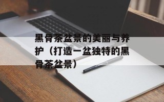 黑骨茶盆景的美丽与养护（打造一盆独特的黑骨茶盆景）