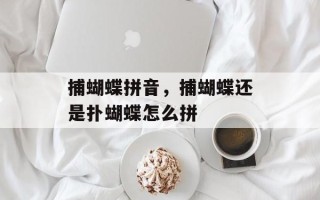 捕蝴蝶拼音，捕蝴蝶还是扑蝴蝶怎么拼