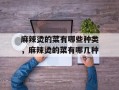 麻辣烫的菜有哪些种类，麻辣烫的菜有哪几种