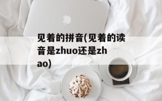 见着的拼音(见着的读音是zhuo还是zhao)