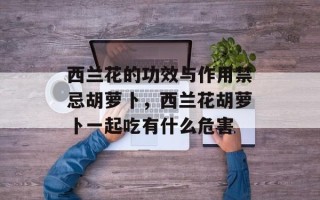 西兰花的功效与作用禁忌胡萝卜，西兰花胡萝卜一起吃有什么危害