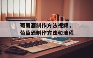 葡萄酒制作方法视频，葡萄酒制作方法和流程