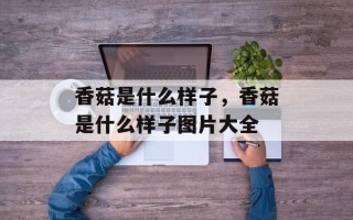 香菇是什么样子，香菇是什么样子图片大全
