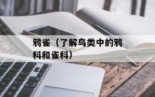 鸦雀（了解鸟类中的鸦科和雀科）