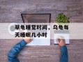 草龟睡觉时间，乌龟每天睡眠几小时