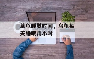 草龟睡觉时间，乌龟每天睡眠几小时