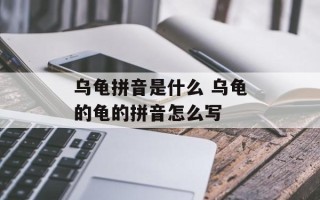 乌龟拼音是什么 乌龟的龟的拼音怎么写