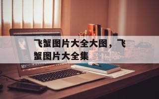 飞蟹图片大全大图，飞蟹图片大全集
