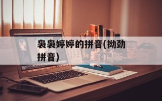 袅袅婷婷的拼音(拗劲拼音)
