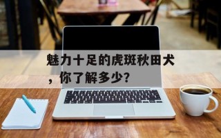 魅力十足的虎斑秋田犬，你了解多少？