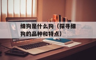 细狗是什么狗（探寻细狗的品种和特点）