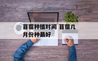 苜蓿种植时间 苜蓿几月份种最好