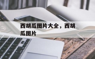 西胡瓜图片大全，西胡瓜图片