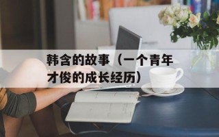 韩含的故事（一个青年才俊的成长经历）