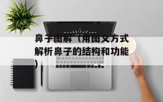 鼻子图解（用图文方式解析鼻子的结构和功能）