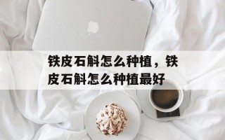 铁皮石斛怎么种植，铁皮石斛怎么种植最好