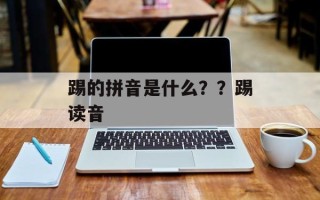 踢的拼音是什么？？踢读音