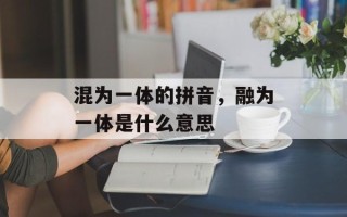 混为一体的拼音，融为一体是什么意思