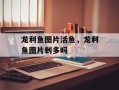 龙利鱼图片活鱼，龙利鱼图片刺多吗