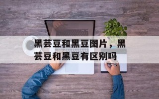 黑芸豆和黑豆图片，黑芸豆和黑豆有区别吗