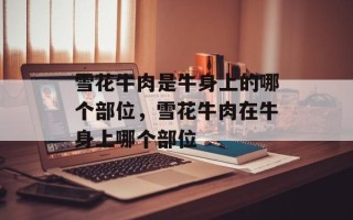 雪花牛肉是牛身上的哪个部位，雪花牛肉在牛身上哪个部位