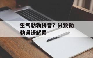 生气勃勃拼音？兴致勃勃词语解释