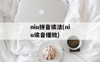 niu拼音读法(niu读音播放)