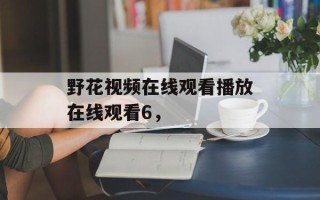 野花视频在线观看播放在线观看6，