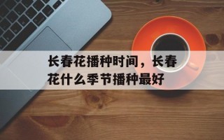 长春花播种时间，长春花什么季节播种最好