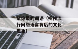 鼠你最的词语（揭秘流行网络语言背后的文化现象）
