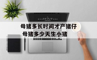 母猪多长时间才产猪仔 母猪多少天生小猪