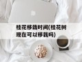桂花移栽时间(桂花树现在可以移栽吗)