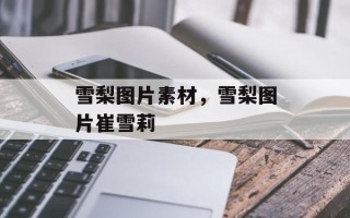 雪梨图片素材，雪梨图片崔雪莉