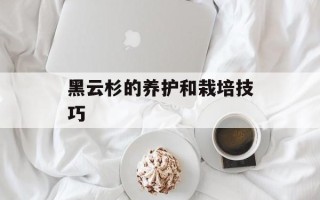 黑云杉的养护和栽培技巧