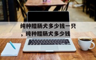纯种腊肠犬多少钱一只，纯种腊肠犬多少钱