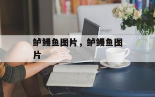 鲈鳗鱼图片，鲈鳗鱼图片