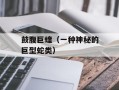 鼓腹巨蝰（一种神秘的巨型蛇类）