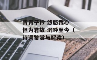 青青子衿 悠悠我心 但为君故 沉吟至今（诗词鉴赏与解读）