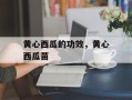 黄心西瓜的功效，黄心西瓜苗