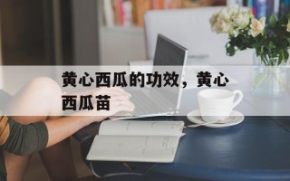 黄心西瓜的功效，黄心西瓜苗