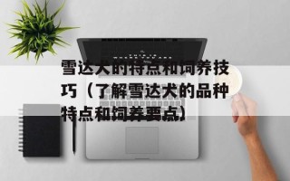雪达犬的特点和饲养技巧（了解雪达犬的品种特点和饲养要点）