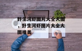 野生河虾图片大全大图，野生河虾图片大全大图唯美