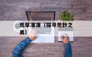 荒草凄凄（探寻荒野之美）