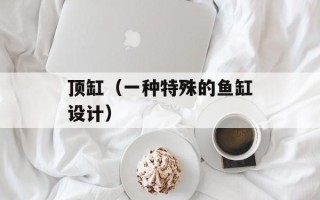 顶缸（一种特殊的鱼缸设计）