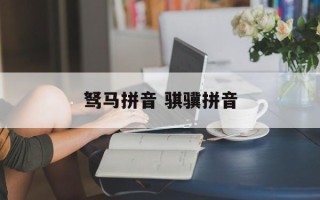 驽马拼音 骐骥拼音