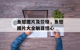鱼翅图片及价格，鱼翅图片大全触目惊心