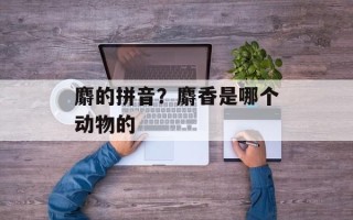 麝的拼音？麝香是哪个动物的