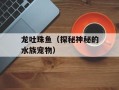 龙吐珠鱼（探秘神秘的水族宠物）